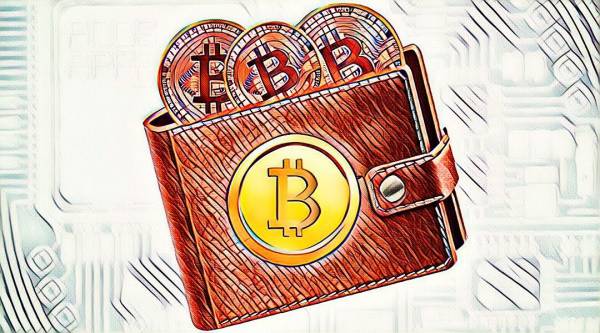 Read more about the article Популярные кошельки для криптовалюты Bitcoin